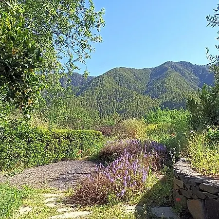 Casa Elena Alojamento de Turismo Selvagem *
